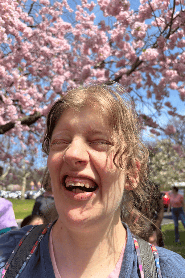 Cherry Blossom Festival New Concepts For Living